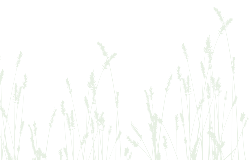 grass